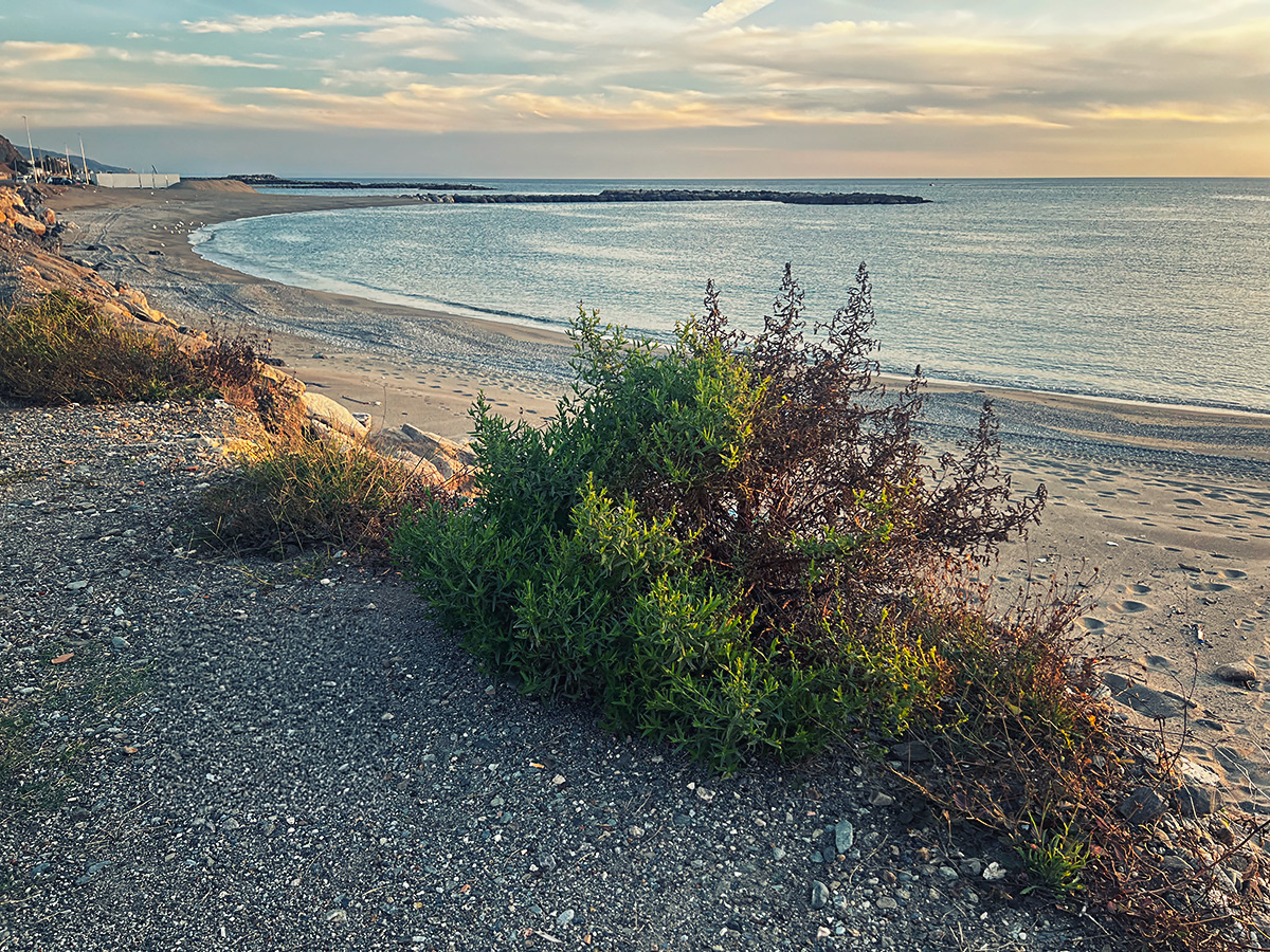 Umbral